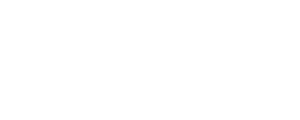 didosiia-logo white